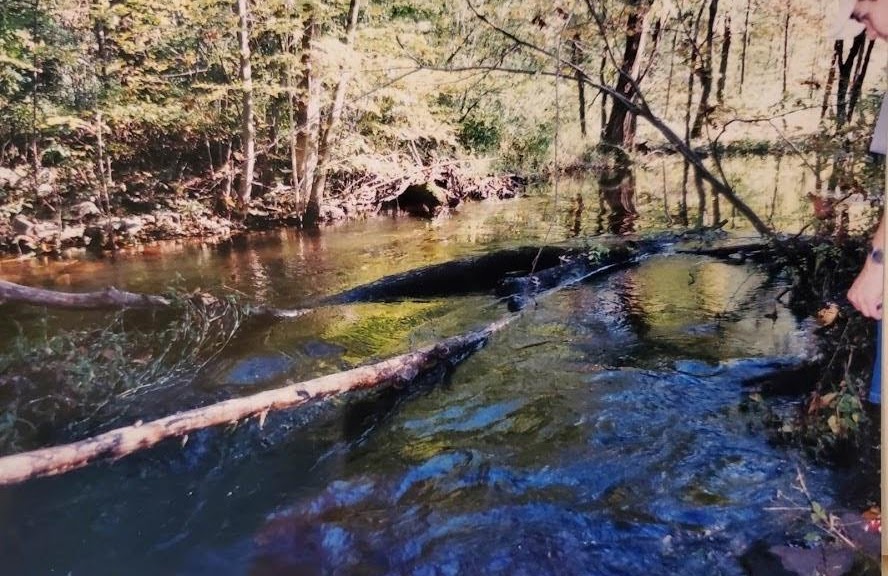 Tin Brook on Brown's Farm